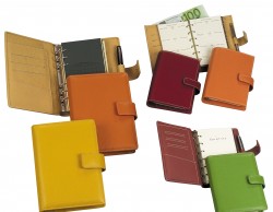 Agenda organizer