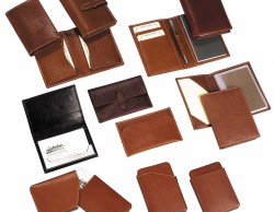 Credit and business card holder