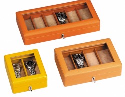 Watches case with glass top